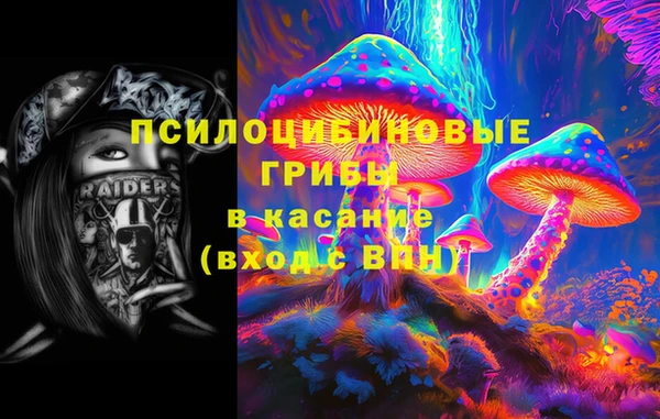 МДПВ Арсеньев