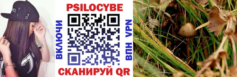 Галлюциногенные грибы Psilocybine cubensis  Сясьстрой 