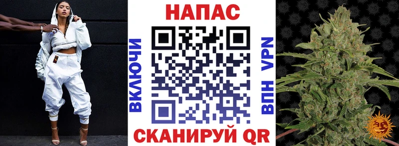 Каннабис конопля  Сясьстрой 